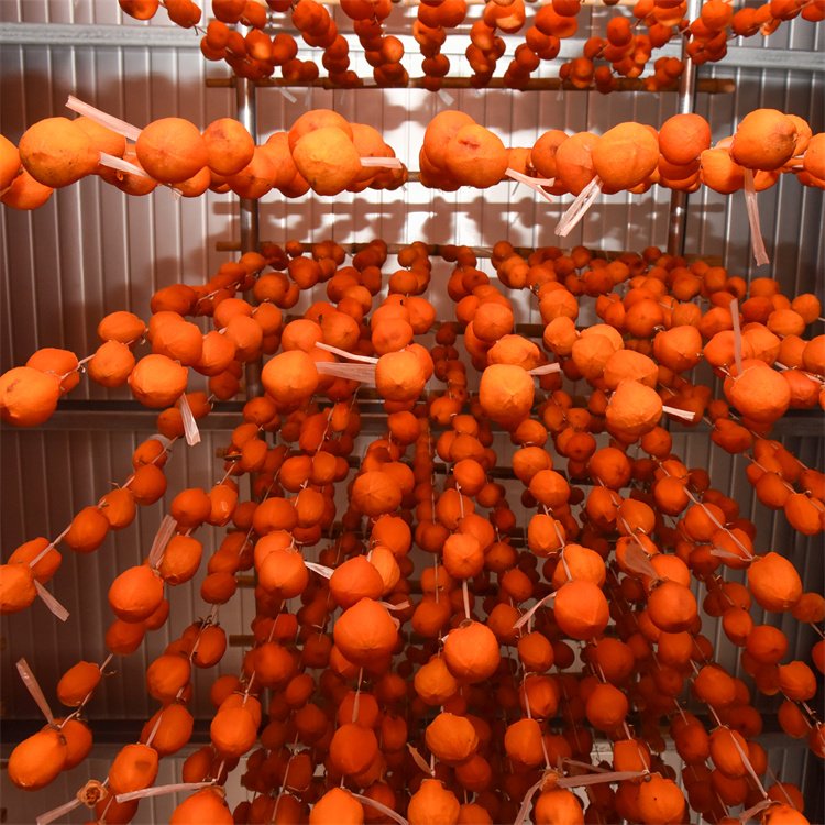 半干柿 好吃美味 香甜软糯 休闲食品 传统工艺生产_af8ad200.jpg