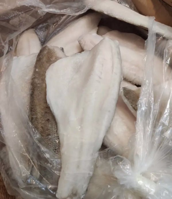 天然水产批发出售冷冻海鲈鱼片 冷冻水产品批发_236d0afe.jpg