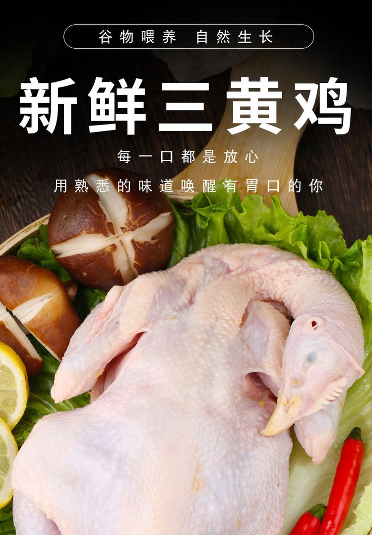 广 西三黄鸡 农家散养谷物喂养土鸡新鲜宰杀非老母鸡 冷链配送_143f5668.jpg