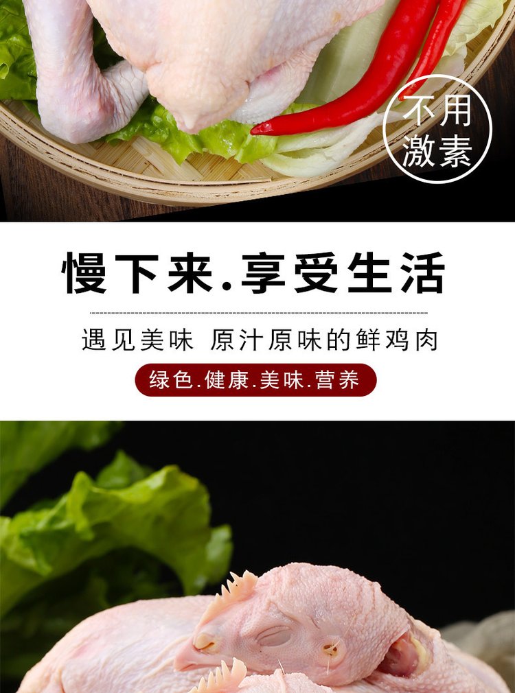 广 西三黄鸡 农家散养谷物喂养土鸡新鲜宰杀非老母鸡 冷链配送_57251e75.jpg