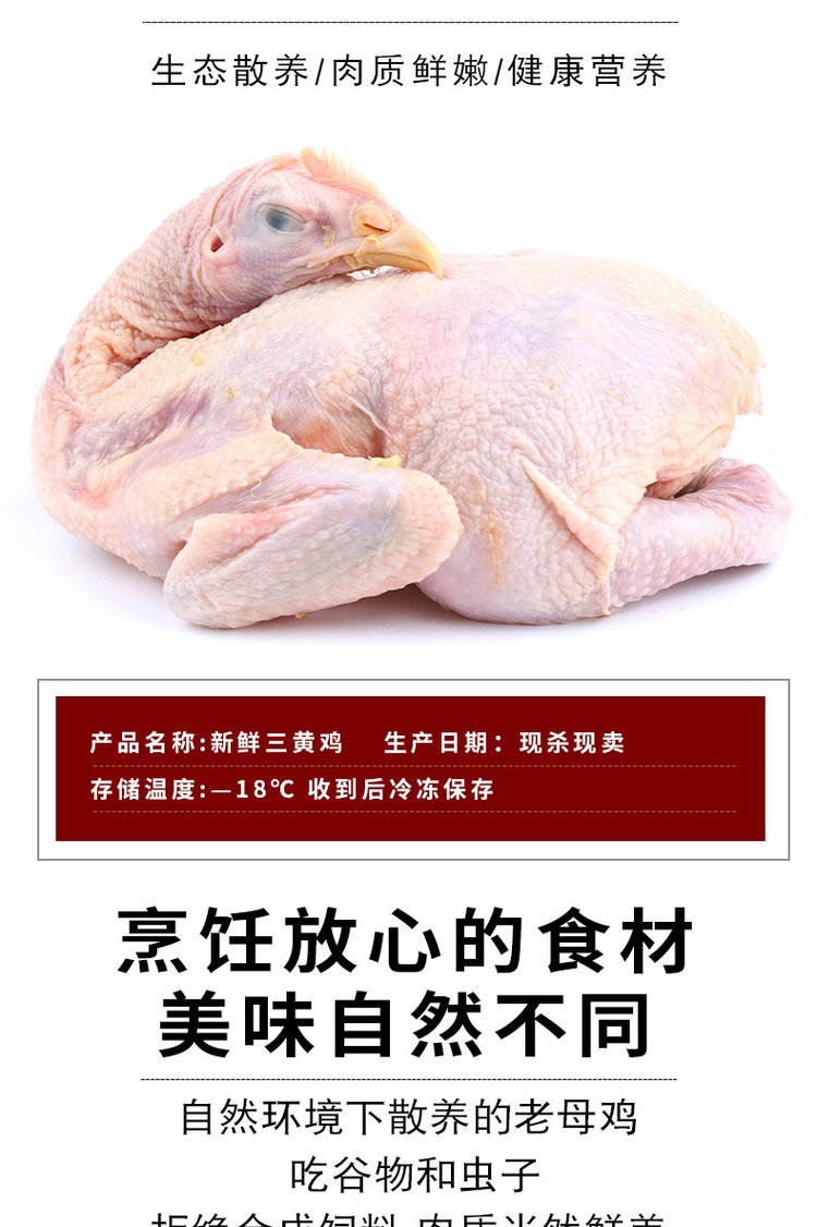 广 西三黄鸡 农家散养谷物喂养土鸡新鲜宰杀非老母鸡 冷链配送_fdda2996.jpg