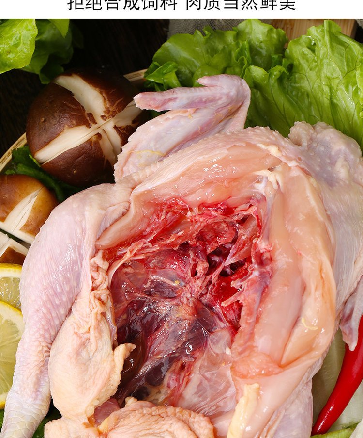 广 西三黄鸡 农家散养谷物喂养土鸡新鲜宰杀非老母鸡 冷链配送_397edbc7.jpg