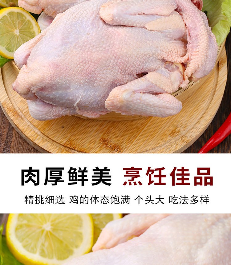 广 西三黄鸡 农家散养谷物喂养土鸡新鲜宰杀非老母鸡 冷链配送_1a73574f.jpg