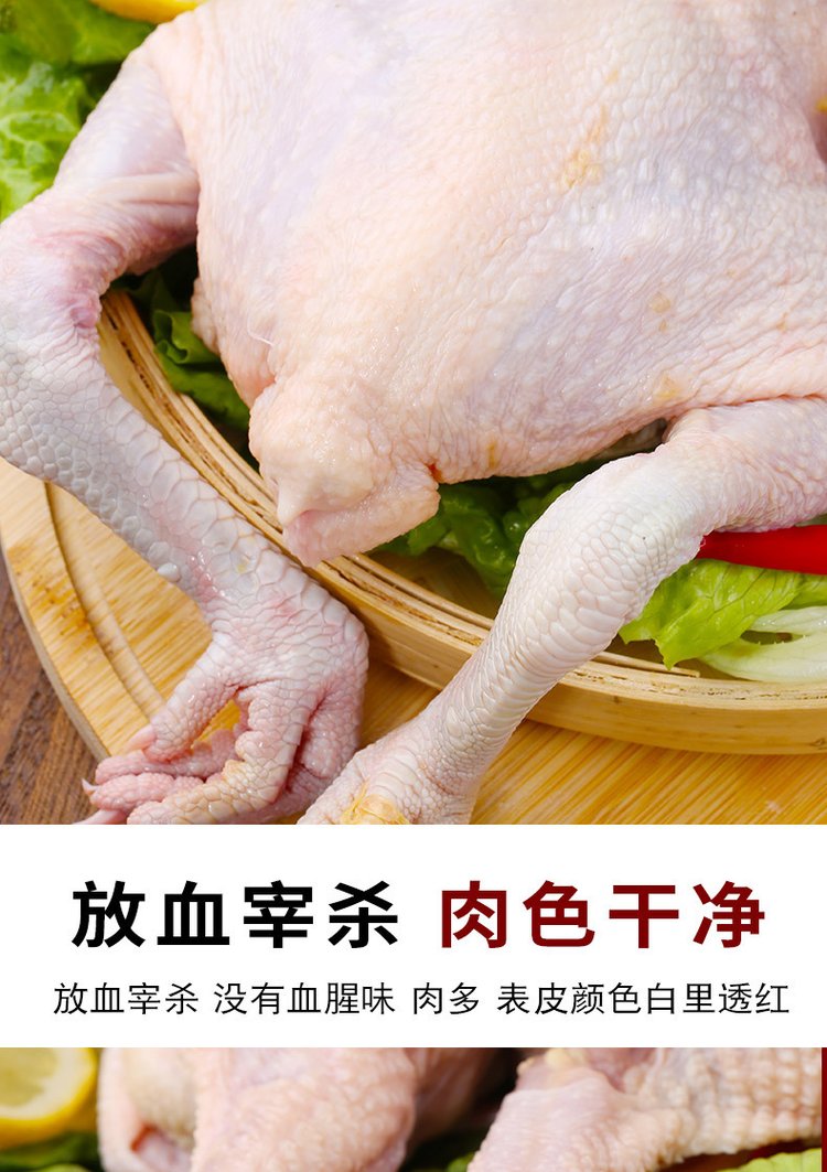 广 西三黄鸡 农家散养谷物喂养土鸡新鲜宰杀非老母鸡 冷链配送_82d45c9a.jpg