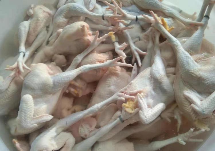 广 西三黄鸡 农家散养谷物喂养土鸡新鲜宰杀非老母鸡 冷链配送_a2f545d2.jpg