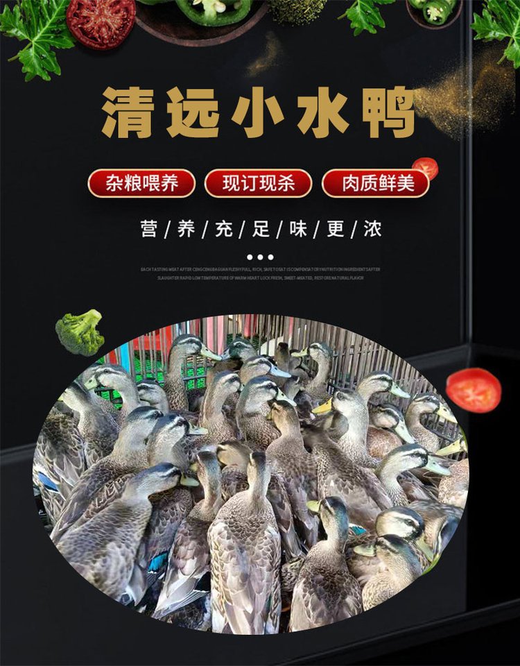 清 远小水鸭 冰冻锁鲜鸭肉生鲜整只鸭去内脏 冷链配送_ec939587.jpg