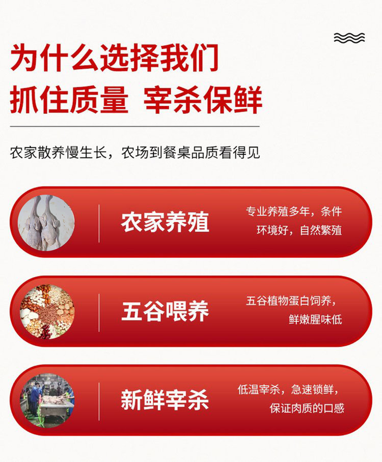 清 远小水鸭 冰冻锁鲜鸭肉生鲜整只鸭去内脏 冷链配送.png