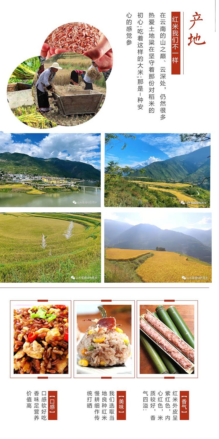 云南大米新米 沧江金甸红米 农家生态营养粗粮杂粮糙米10斤装批发_20c135e9.jpg