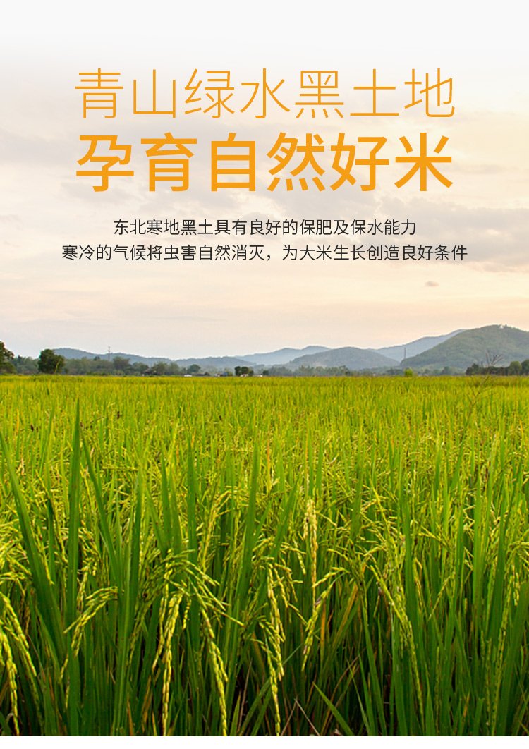 正宗东北五常大米 原粮稻花香2号 农户自产自销2022新米2.5_568070b9.jpg