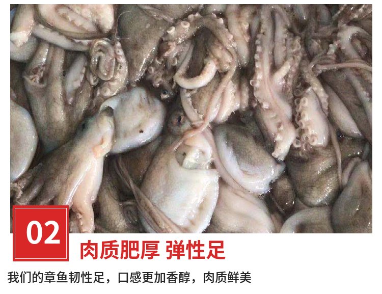 伟隆水产 冷冻八爪鱼 章鱼餐饭店供应长脚章 鱼批发_6f4e9ef5.jpg