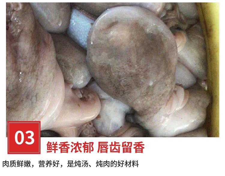 伟隆水产 冷冻八爪鱼 章鱼餐饭店供应长脚章 鱼批发_7616cfab.jpg