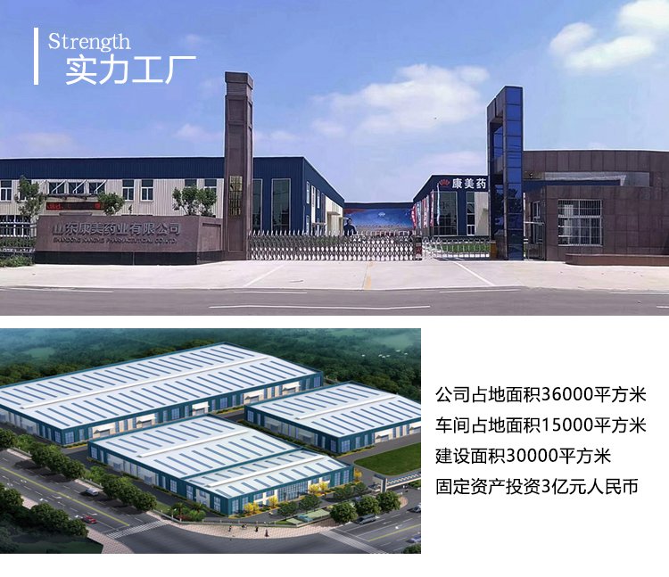 硬核一整根参瓶装 人参水养生饮料 熬夜水饮品0糖0脂贴牌定制_a61ded46.jpg